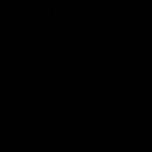 Meet your Posher, Isabella